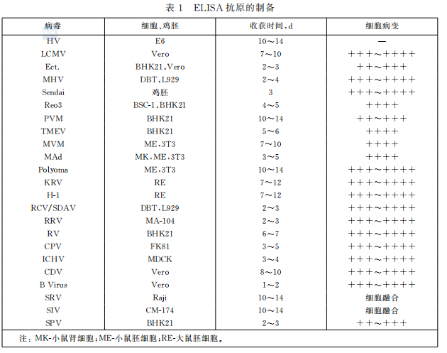 d9449-image.png