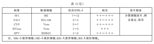 A8804-image.png