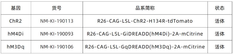 脑科学-表9.png
