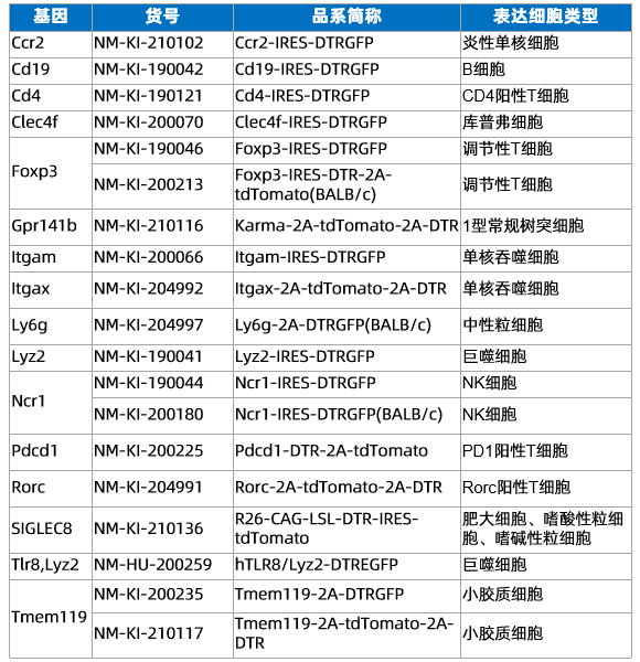 图17.png