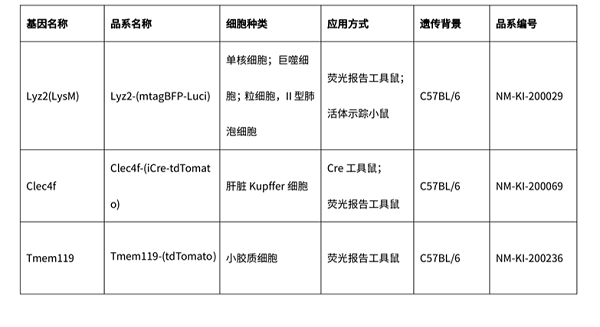 巨噬细胞-8.png