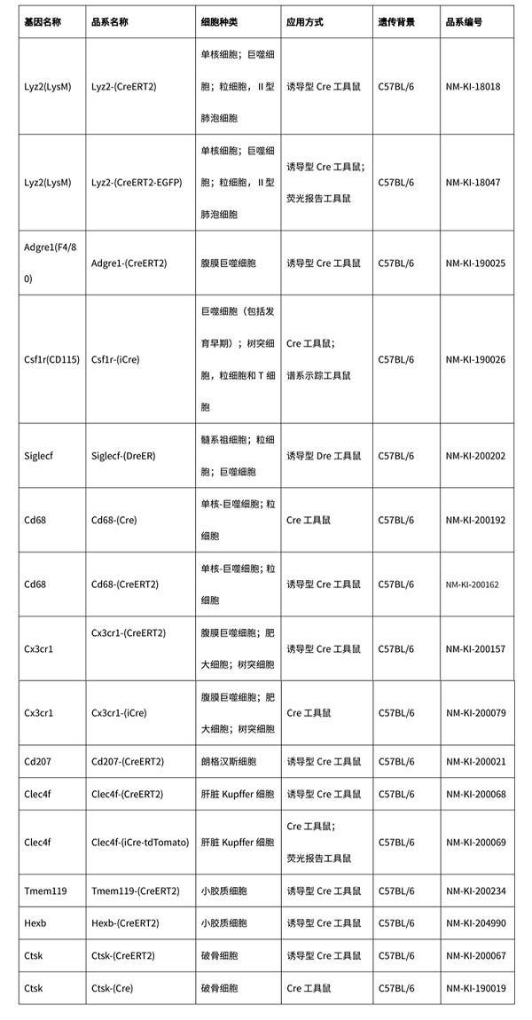 巨噬细胞-6.png 巨噬细胞-6.png
