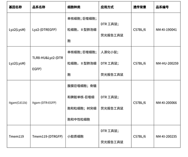 巨噬细胞-10.png