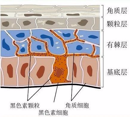 图22.png