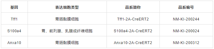 胃工具鼠-9.png