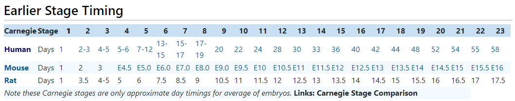 图5.png