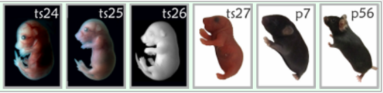 图8.png