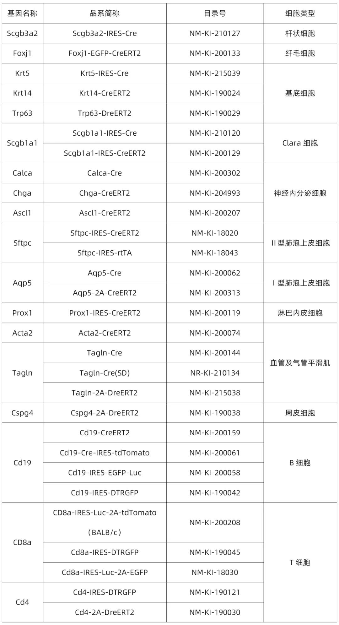 肺-7.jpg