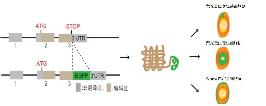 图5.jpg