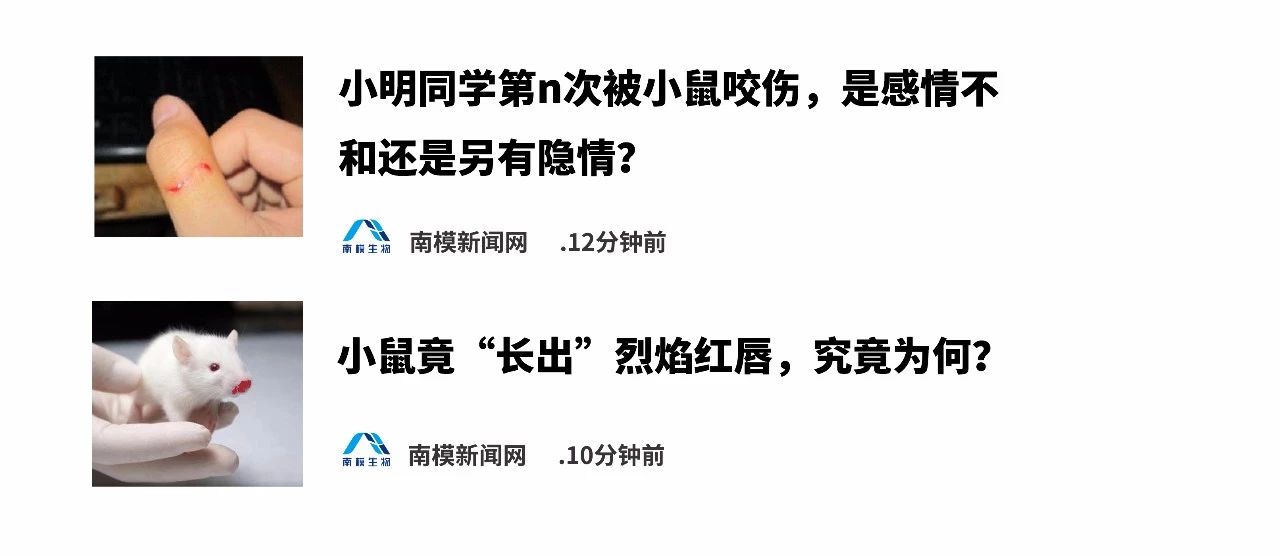 南模新闻网.jpg
