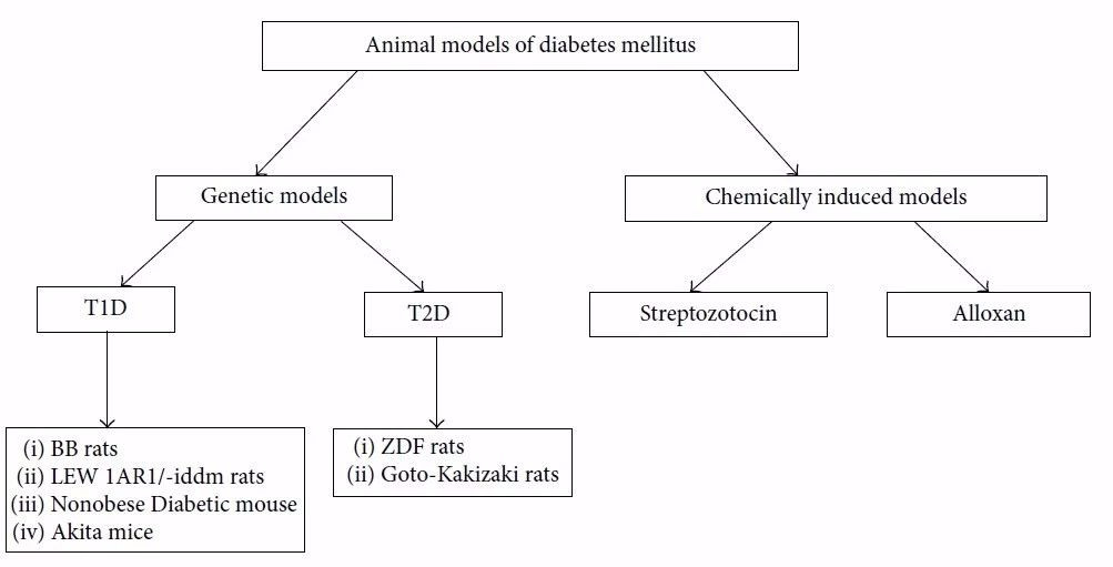 Fig.jpg