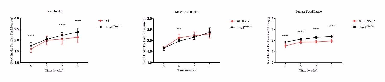 fig12.jpg