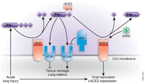 fig4.jpg