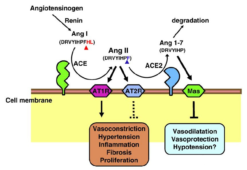 fig3.jpg