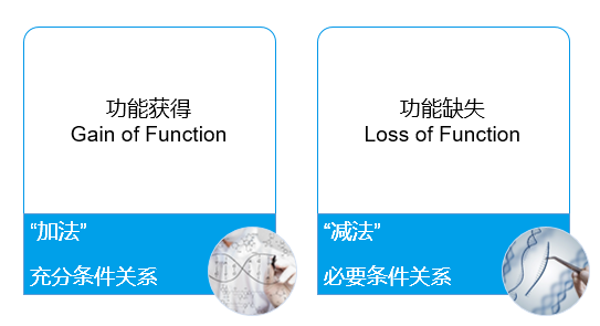 fig3.png