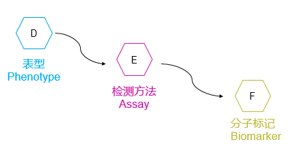 fig9.png