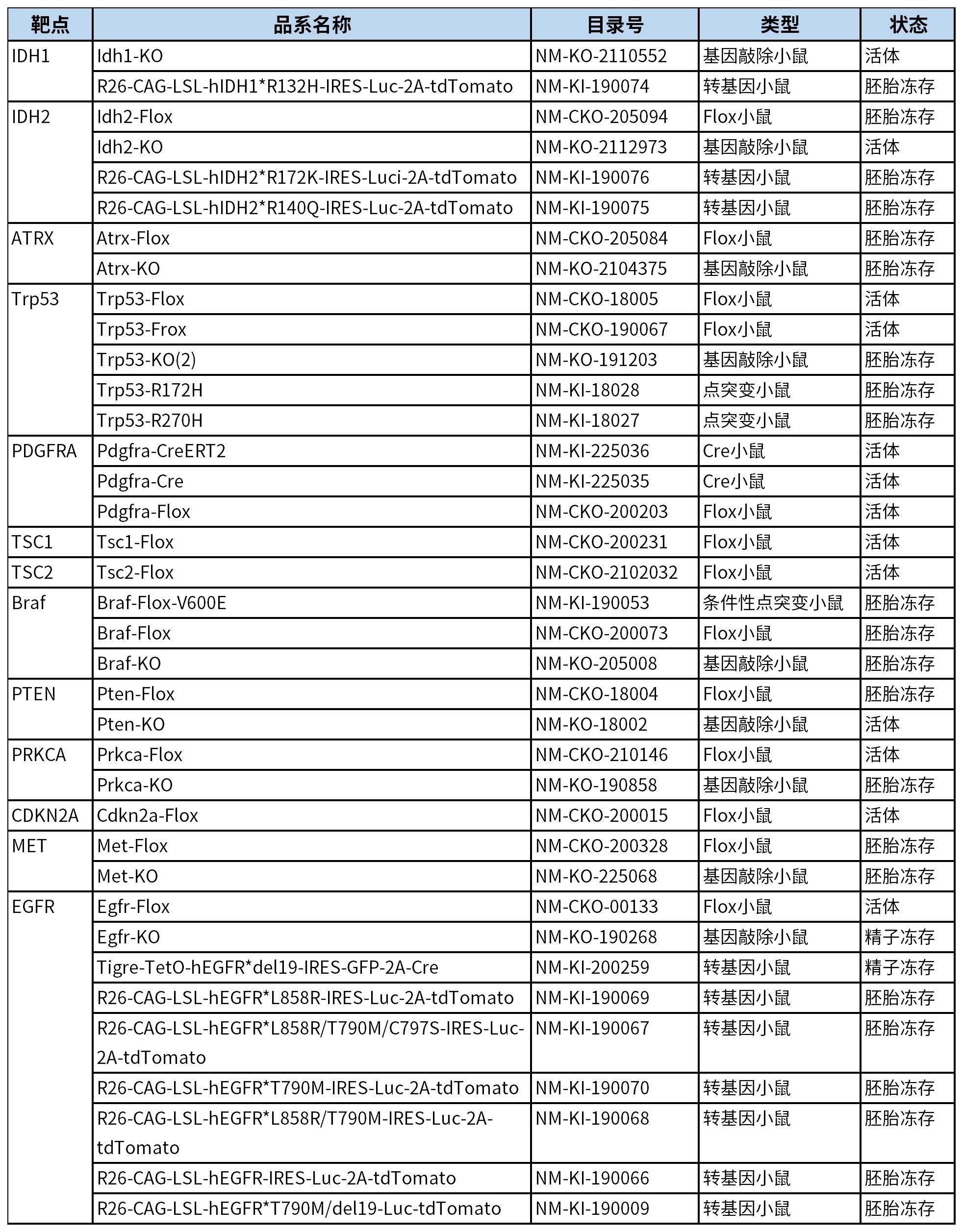 WHO中枢神经系统肿瘤分类_小鼠 3.jpg