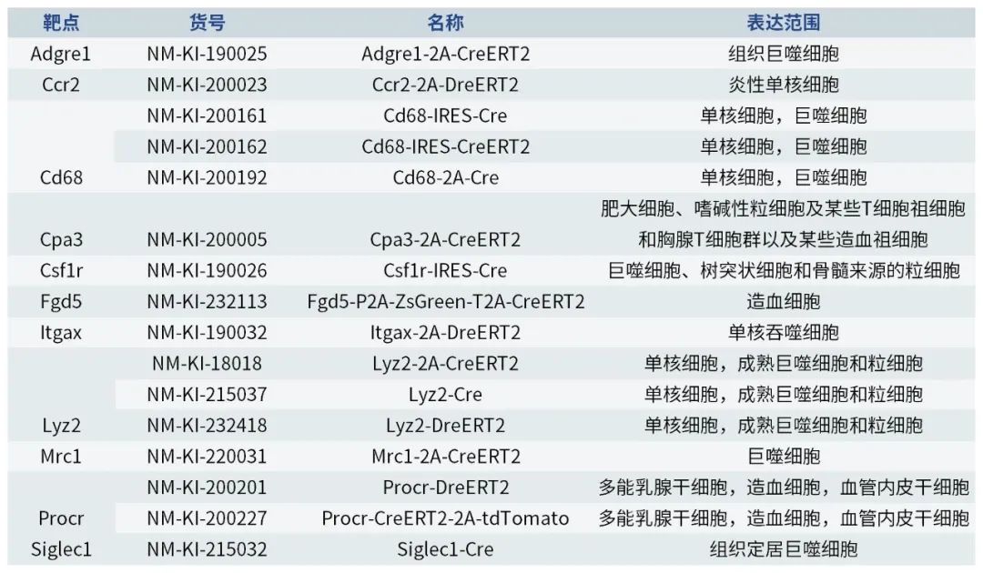 造血干细胞、巨噬细胞、单核细胞等Cre工具鼠.jpg