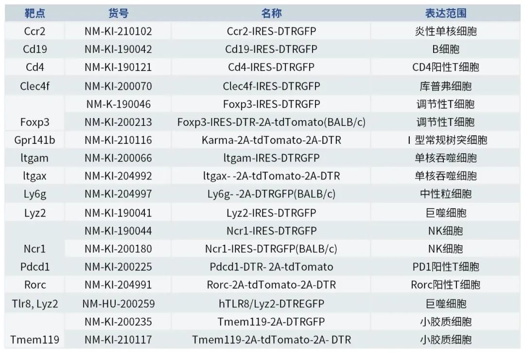 各类免疫细胞剔除（DTR）工具鼠.jpg