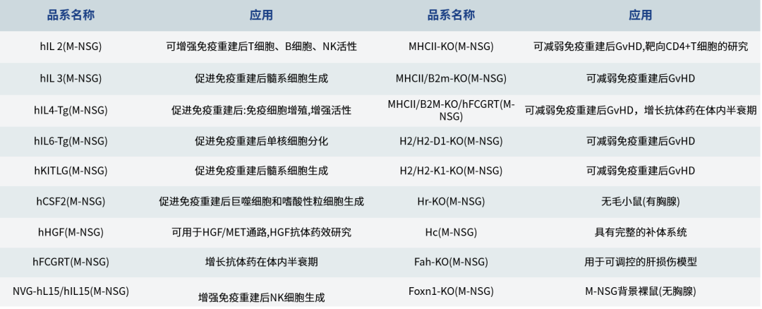M-NSG衍生品系.png