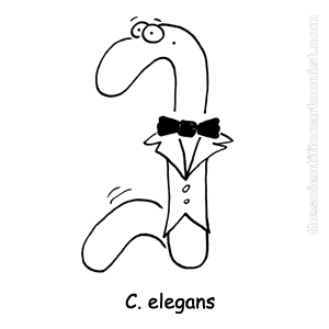 图2.png