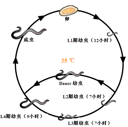 图8.png