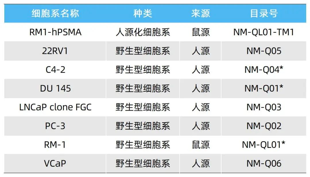 表2.jpg