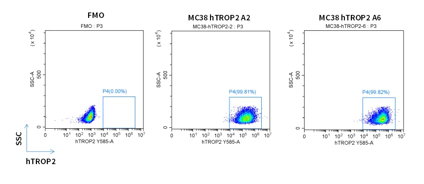 fig1.webp