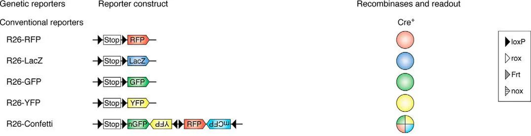 图5.jpg