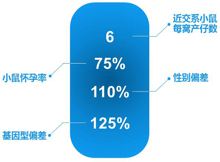 图片8-xg.png