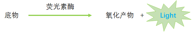 图1.png
