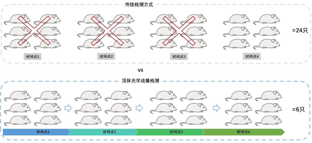 图4.jpg
