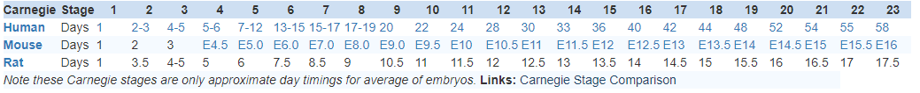 图2.png