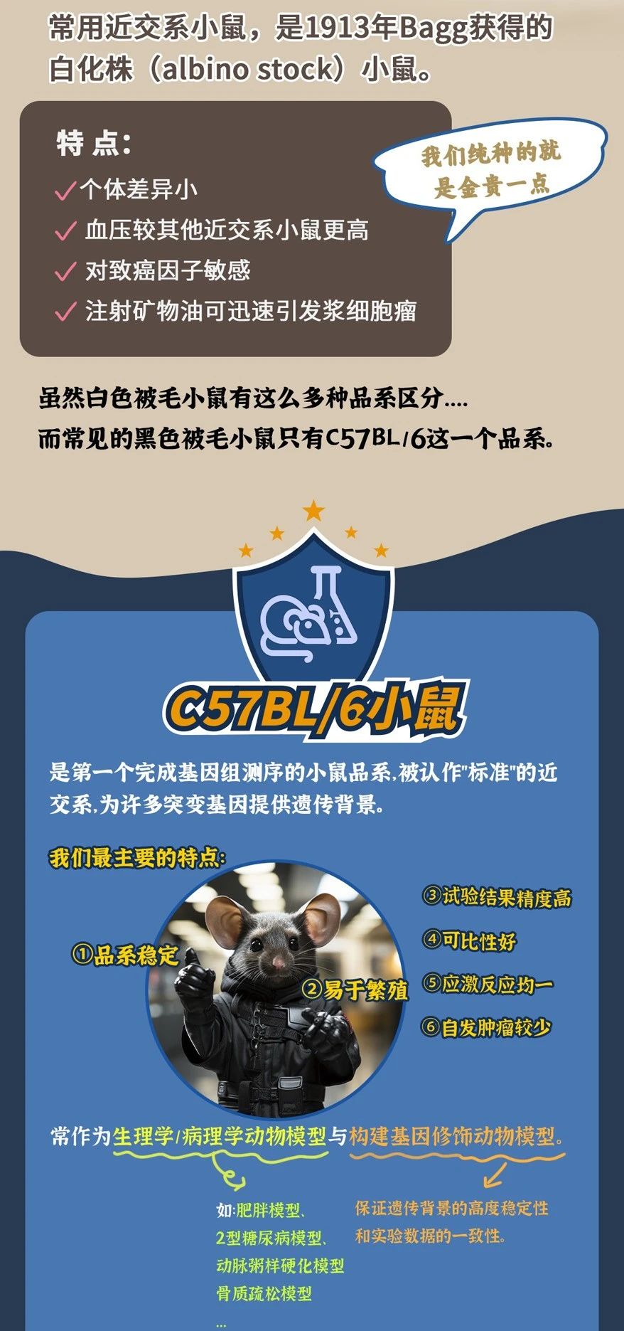 图6.jpg