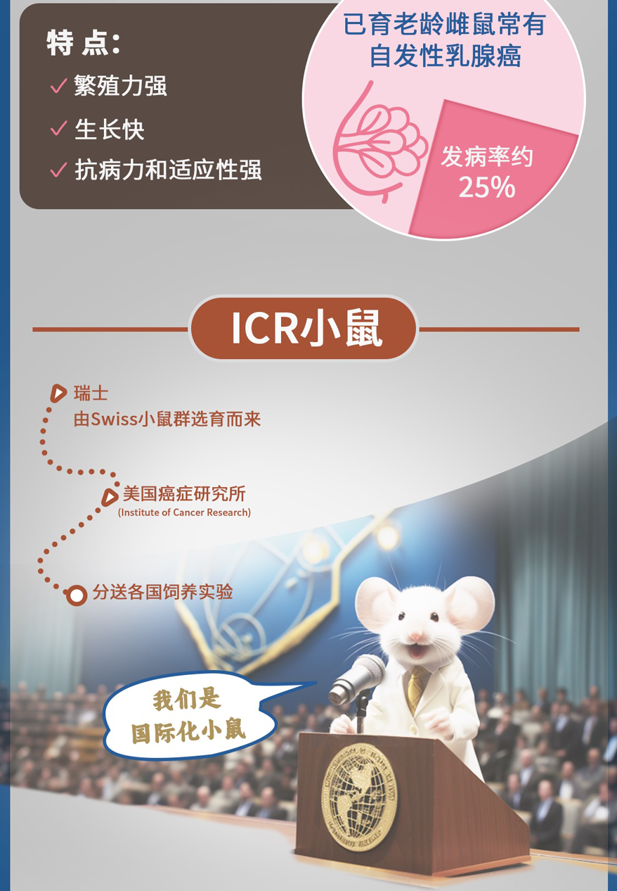图3.png