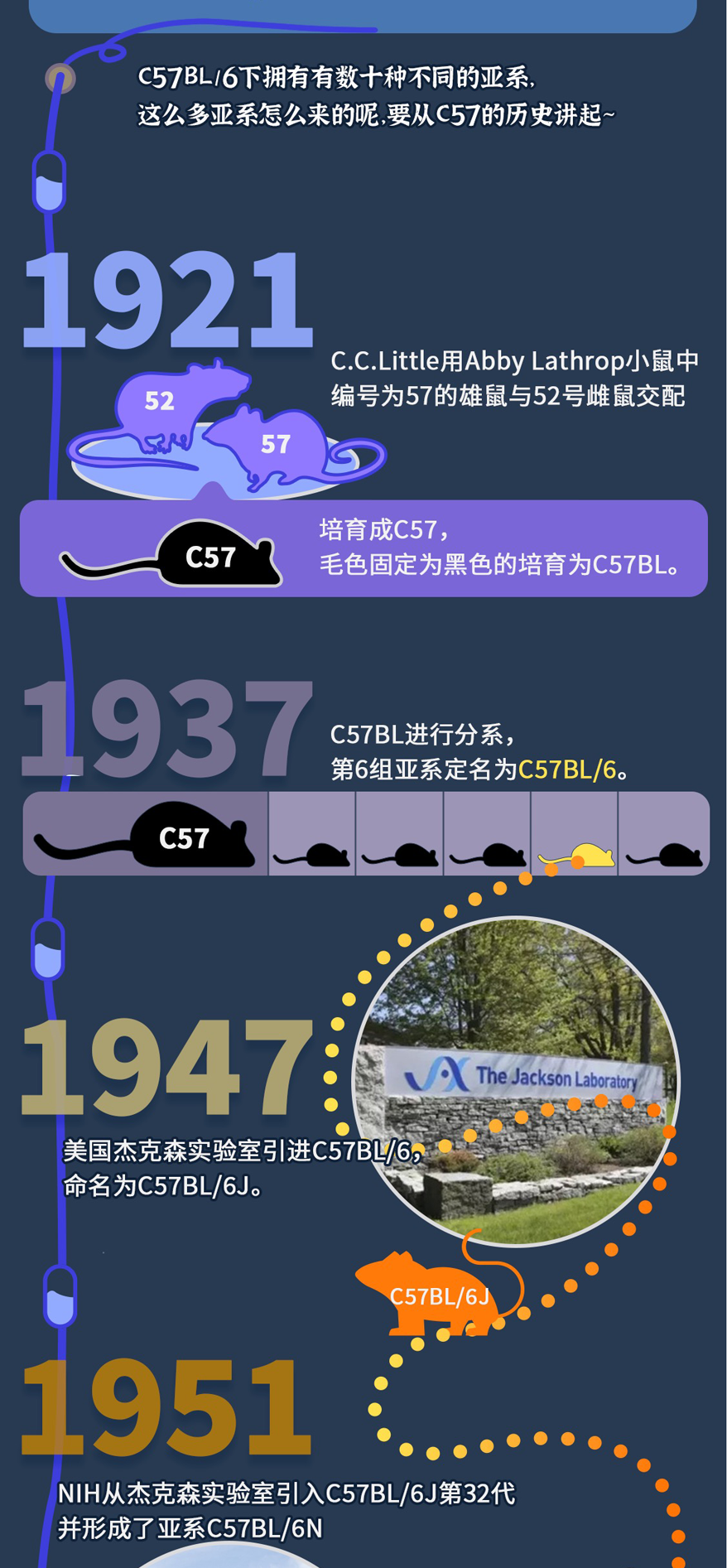 图7.png