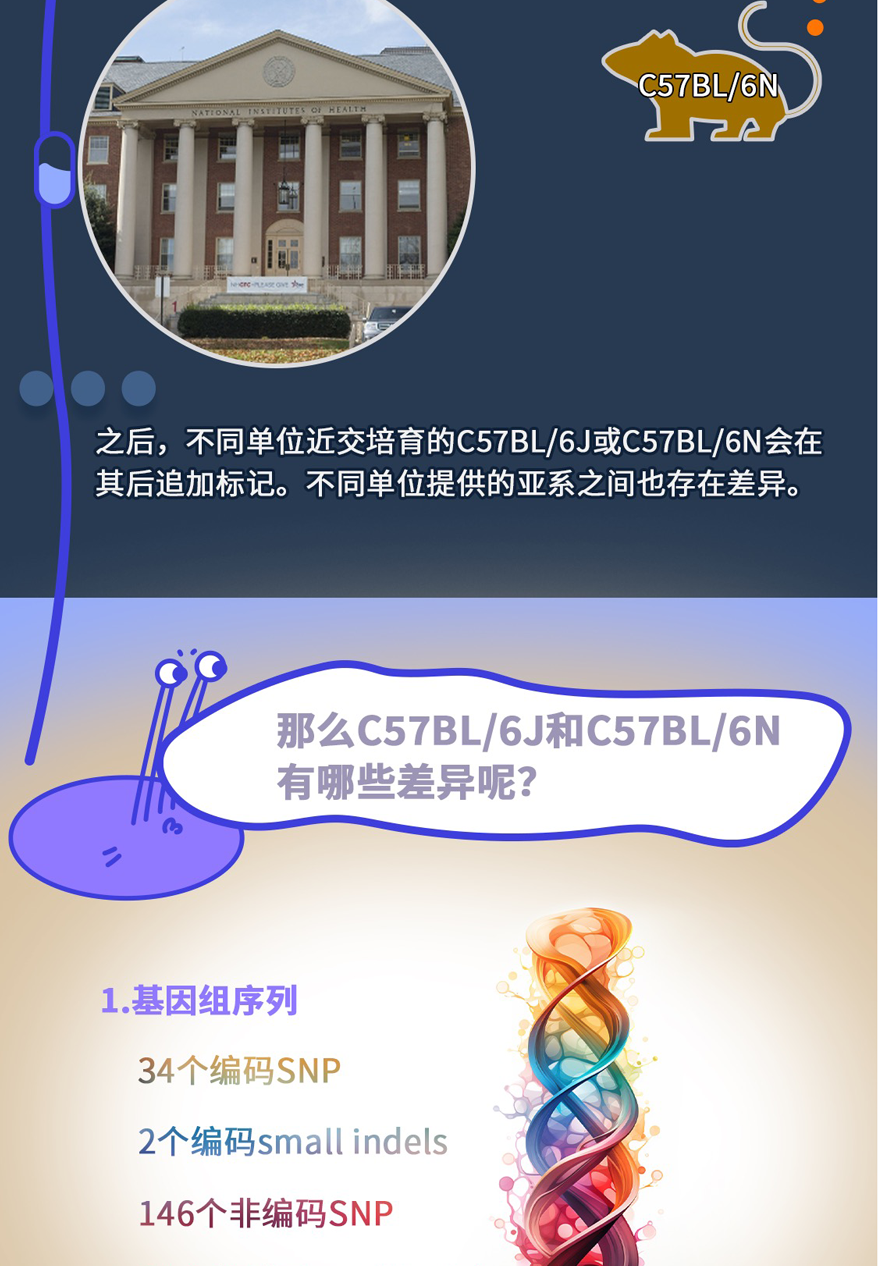 图8.png