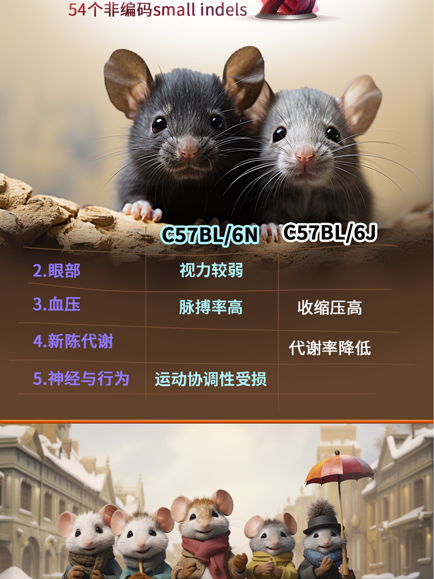 图9.png