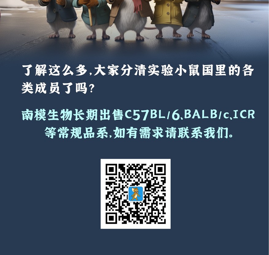 图10.jpg