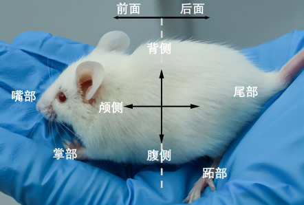 图5.png