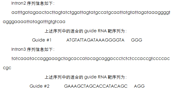 图8.png