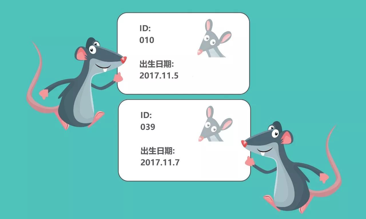 图3.jpg