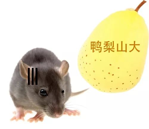 图3.jpg