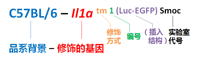 图1.png