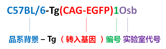 图3.png