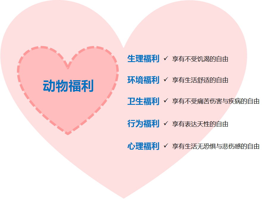 图1.png