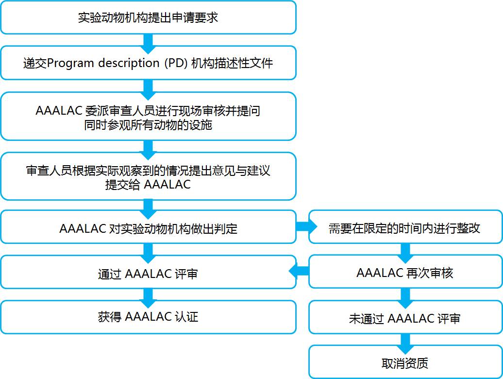 图5.jpg