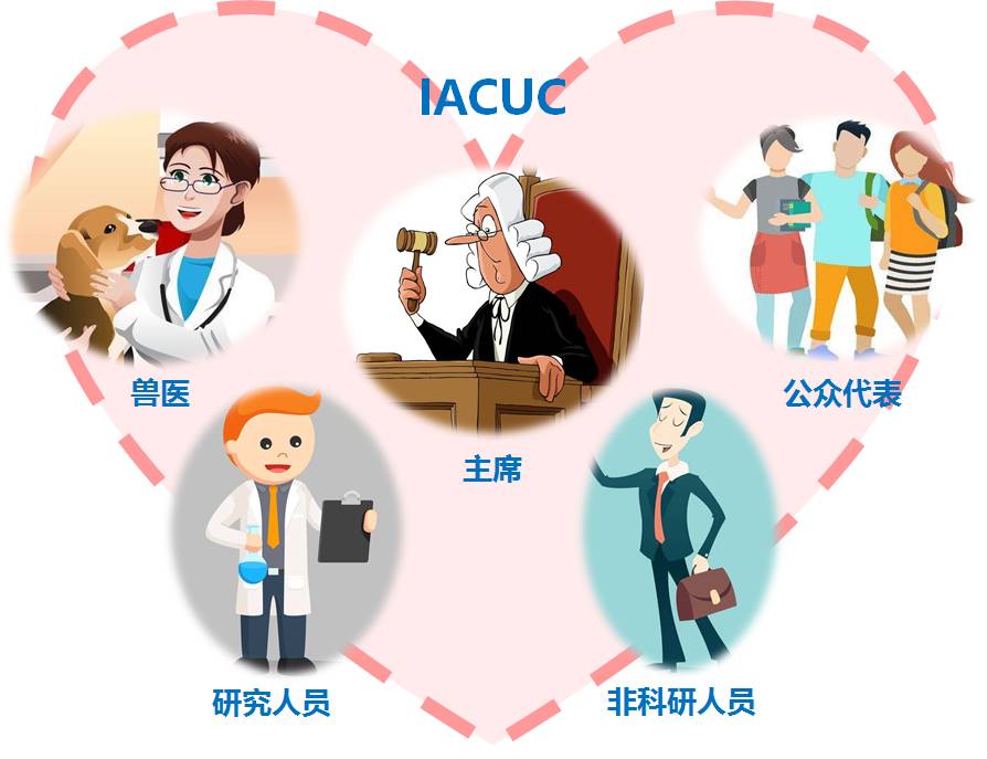 图6.jpg