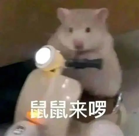 微信图片_20240701142544.jpg