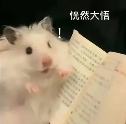 微信图片_20240701142555.jpg